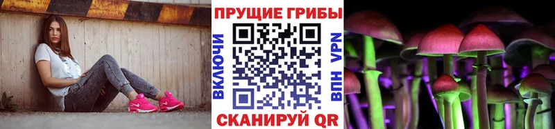 Купить где  Богданович  Псилоцибиновые грибы Magic Shrooms 